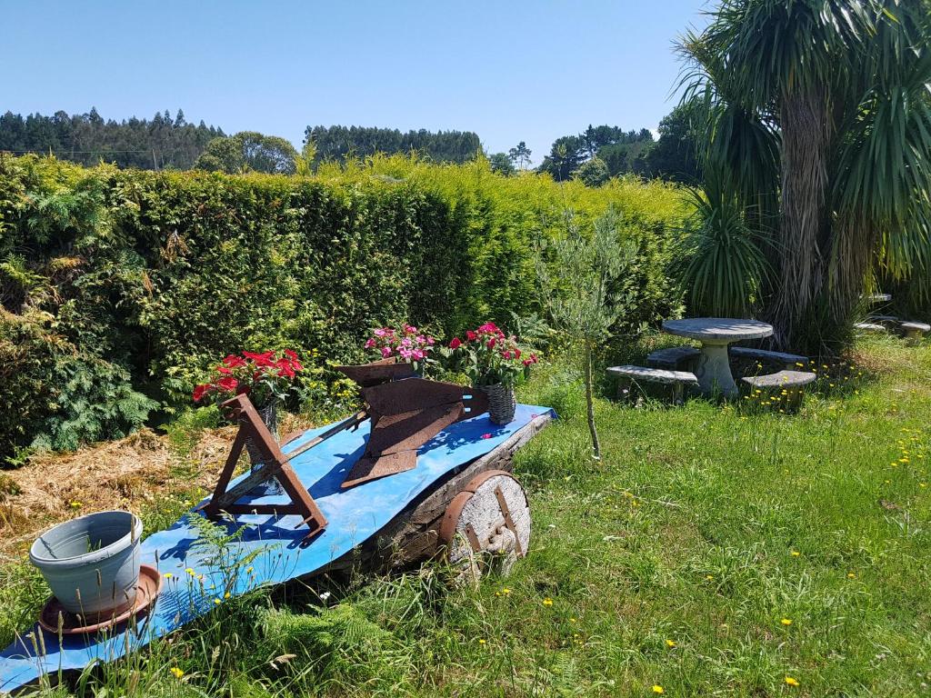 A garden outside Mirador De Rouris