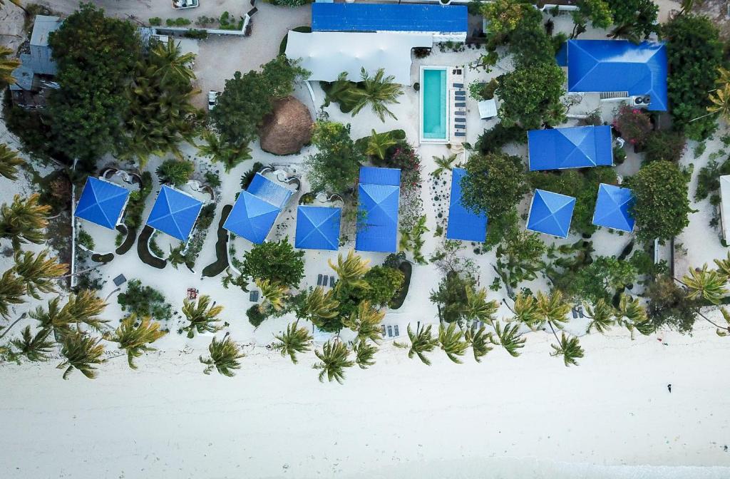an aerial view of a resort on the beach at Indigo Beach Zanzibar in Bwejuu