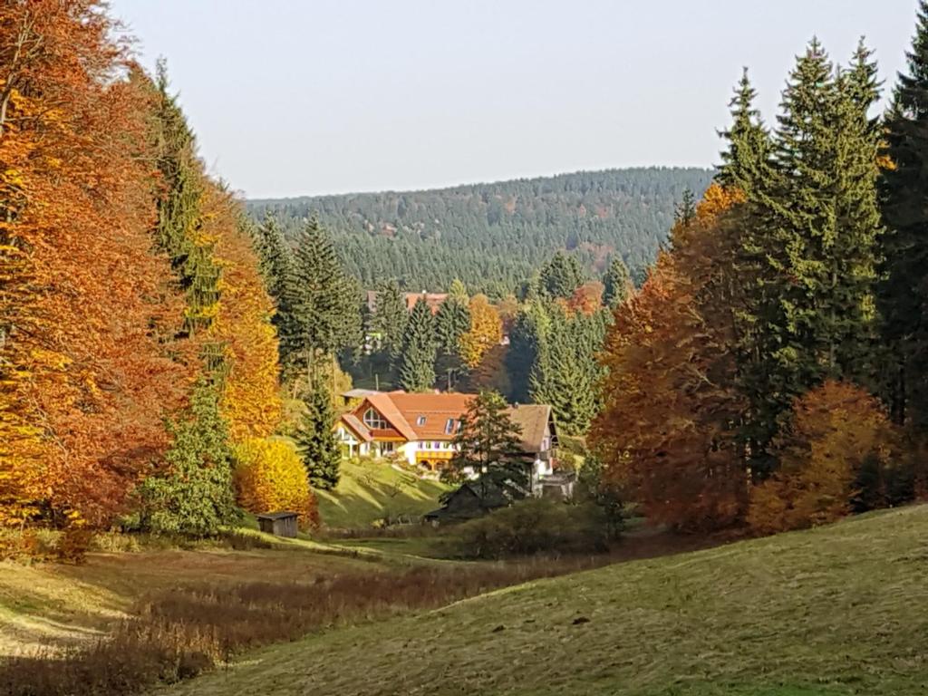 Ferienhaus am Rennsteig - Casa De Vacaciones