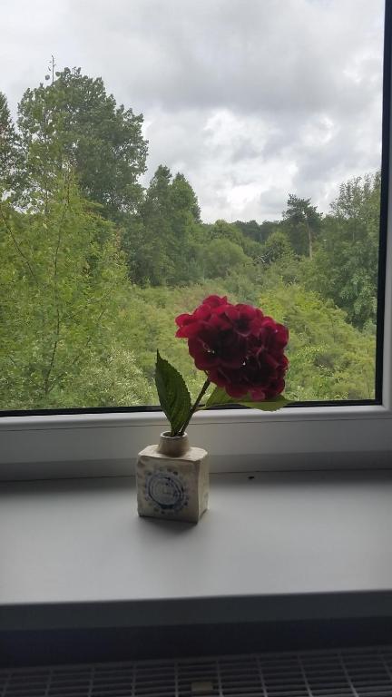 Zahrada ubytování Guest House Gero Vėjo Namai