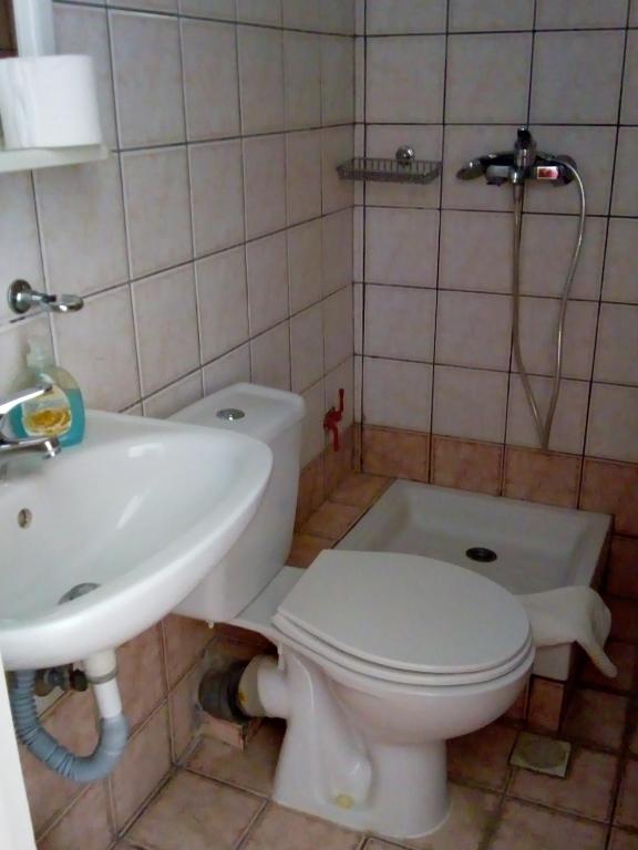 Koupelna v ubytování Hotel Ion