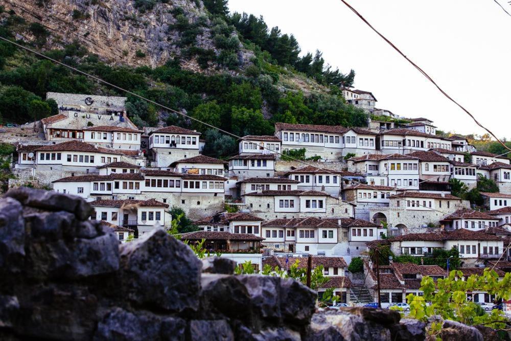 Hotel Vila Nino - Imazhi 6