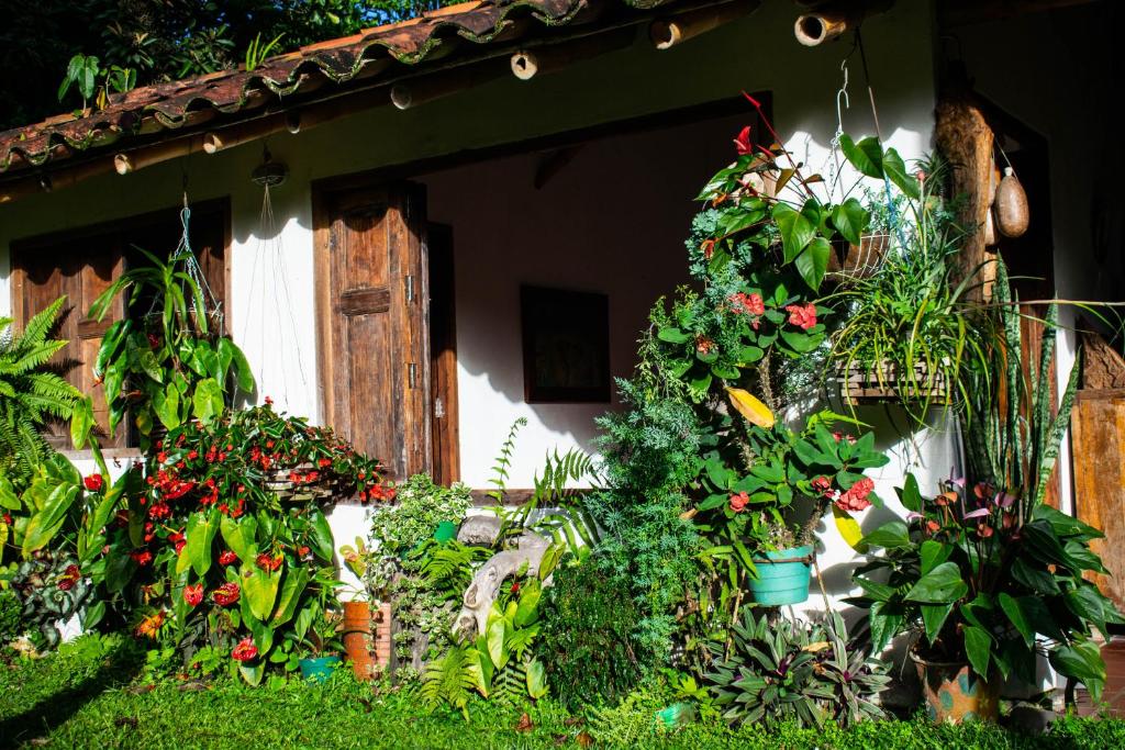 Zahrada ubytování Casa El Cedro
