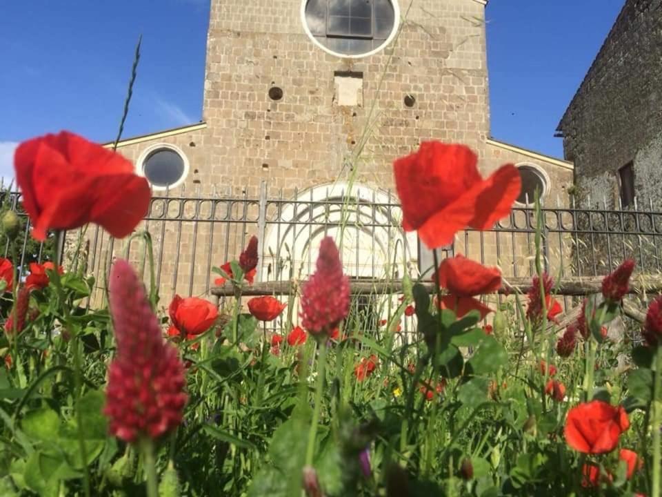 Vonkajšia záhrada v ubytovaní B&b Villa Sofia