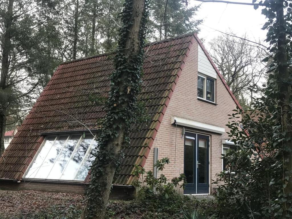 een huis met een dak bedekt met wijnstokken bij Anna in Nunspeet