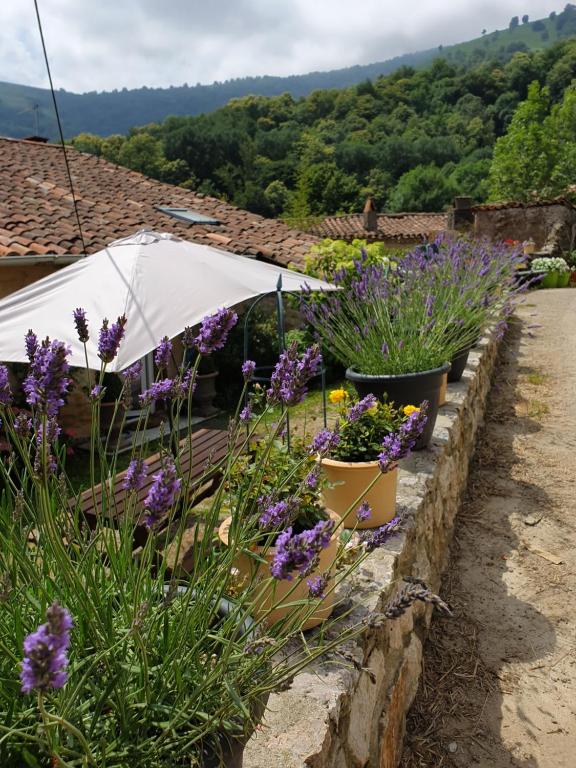 einen Garten mit lila Blumen in Töpfen an einer Steinmauer in der Unterkunft Gite De Charme in Ganac