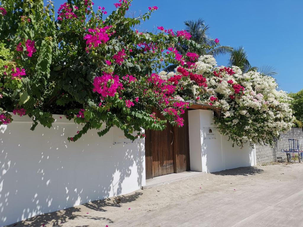 a white building with pink and white flowers on it at Holiday Cottage Thoddoo, Maldives in Thoddoo