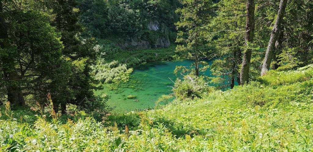 Příroda nedaleko penzionu – hostince