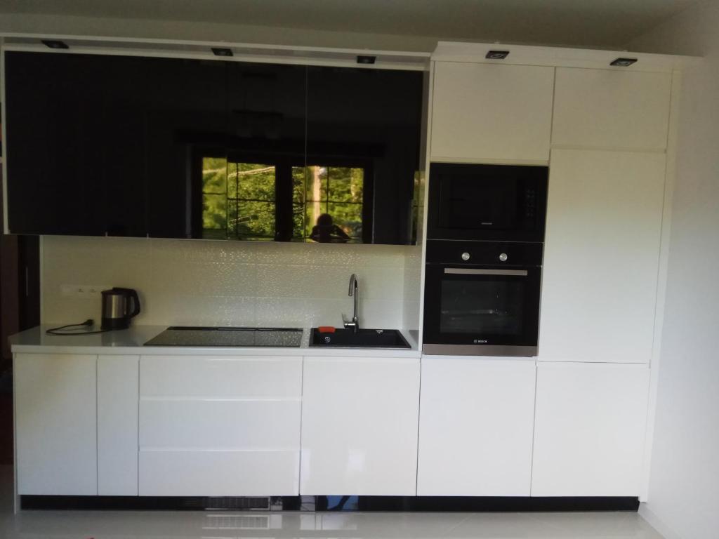 eine Küche mit weißen Schränken und einem Waschbecken in der Unterkunft Apartament Przy Skale u Anny in Sąpów