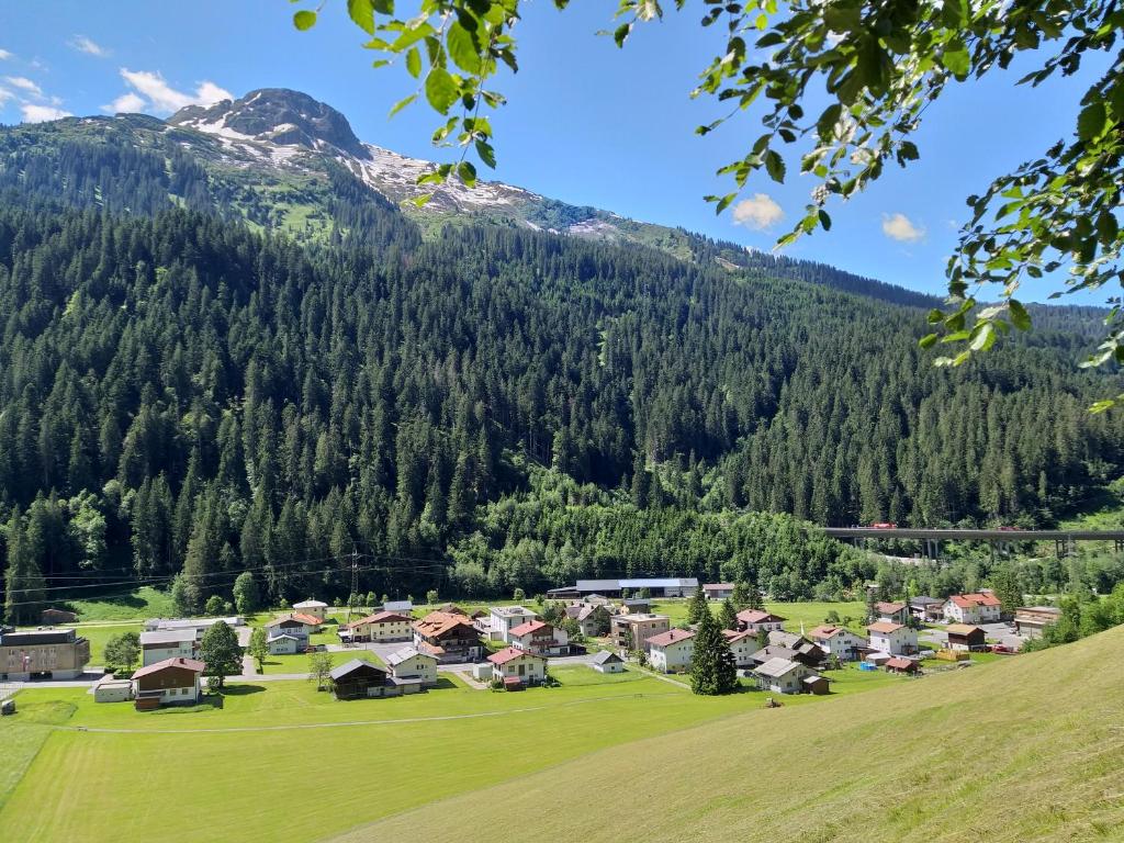 Příroda nedaleko apartmánu