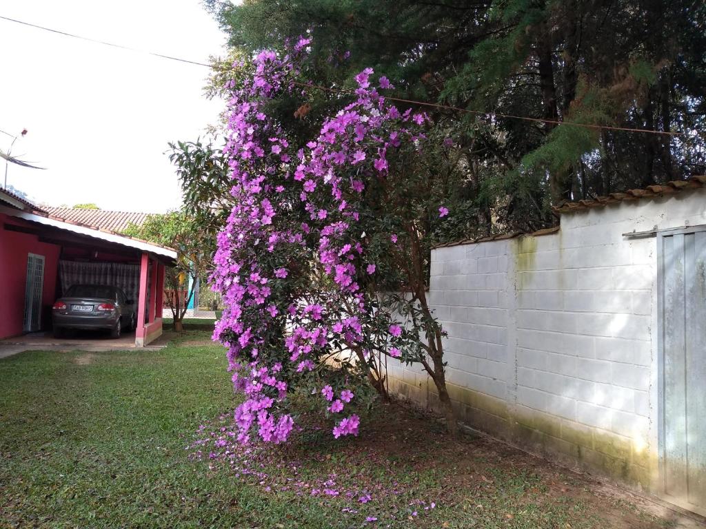  Recanto Flor de lis