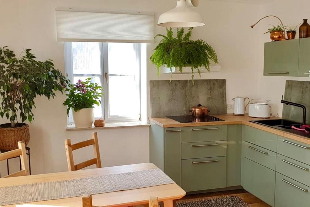 a kitchen with green cabinets and a table and chairs at Into The Green Apartment in Markt Nordheim