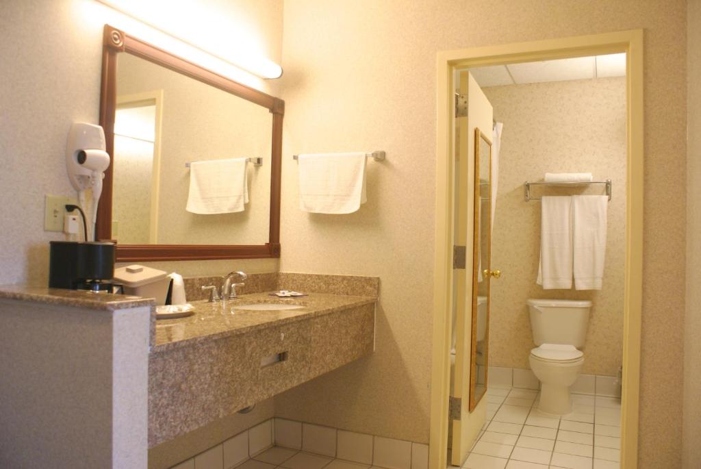 Koupelna v ubytování Raritan Hotel
