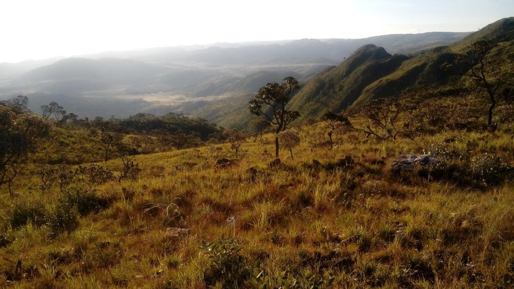  Pousada Serra da Matinha - vegetariana