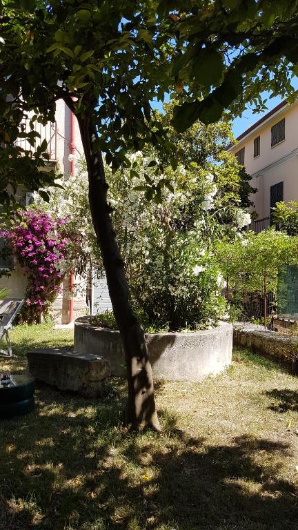 Vonkajšia záhrada v ubytovaní Il Giardino Di Vico Neve