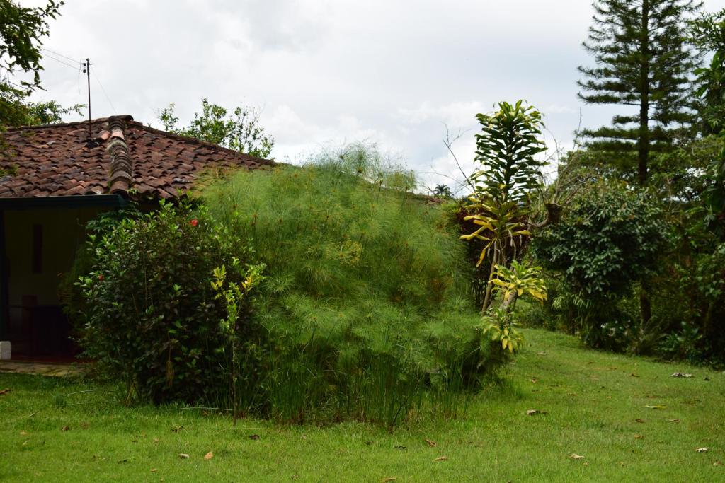 Zahrada ubytování Casa El Cedro