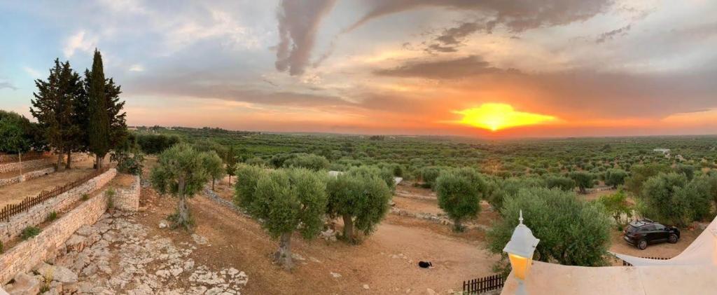 una vista aérea de un campo con árboles y una puesta de sol en B & B Monte Adamo, en Conversano