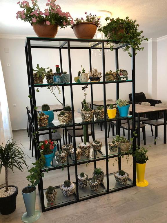 Fotografie z fotogalerie ubytování Hotel CHARLI v destinaci Gonio