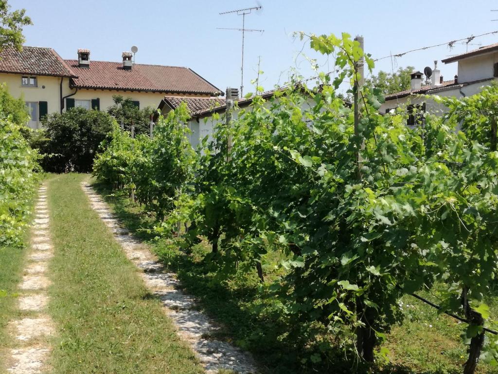 Kép La petite maison szállásáról Sirmionéban a galériában
