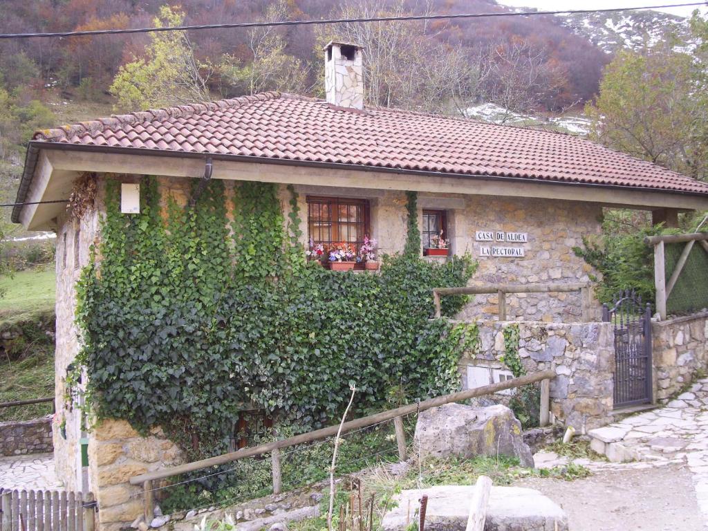 una pequeña casa con hiedra creciendo a su lado en Casa Rural La Rectoral De Tuiza, en Tuiza de Arriba