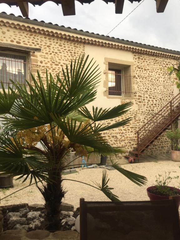 una palmera frente a un edificio en Ô Joly Valois en Hauterives