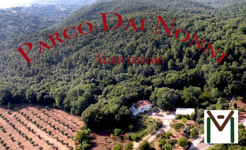 een luchtzicht op een wijngaard met de woorden rico da napoja bij Agriturismo ParcodaiNonni in Ischitella