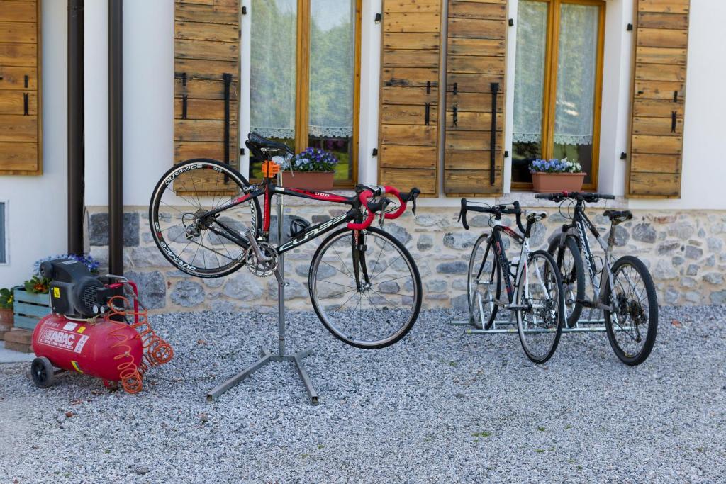 Jízda na kole v ubytování lioelara nebo okolí