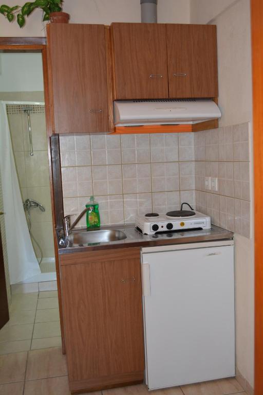 Kuchyň nebo kuchyňský kout v ubytování GLIKERIA ROOMS