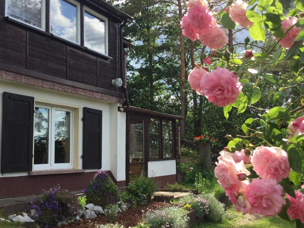 dom z różowymi kwiatami przed nim w obiekcie Ferienhaus am Kyffhauser w mieście Kelbra