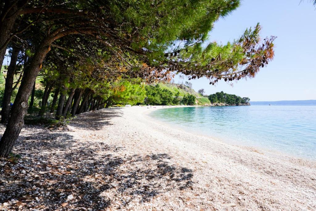 Príroda v okolí apartmánu