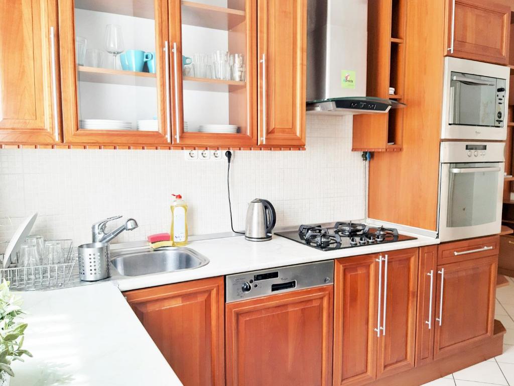 Kuchyňa alebo kuchynka v ubytovaní Gold Rose Apartment with 3 rooms