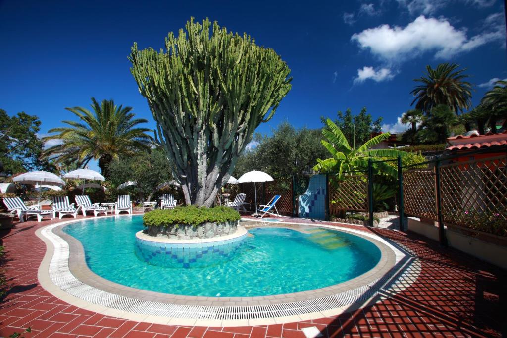 a swimming pool with a tree in the middle at Residence Giardino del Sole in Ischia