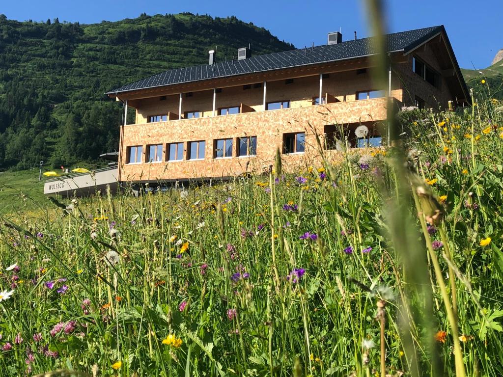 una casa en una colina con un campo de flores en Wolfegg Appartement - Cafe - Bistro, en Warth am Arlberg