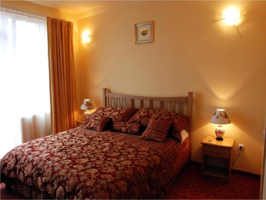 ein Schlafzimmer mit einem großen Bett und einem Fenster in der Unterkunft Pensiunea Phoenix in Oradea