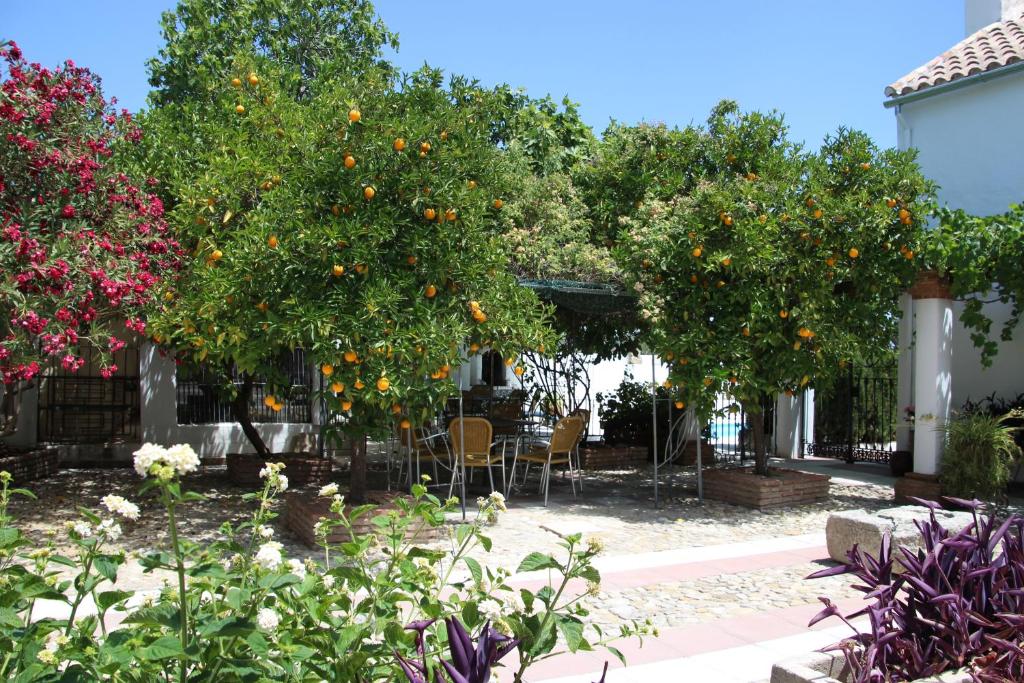 Zahrada ubytování Casa de Familia Cortijo La Cubertilla