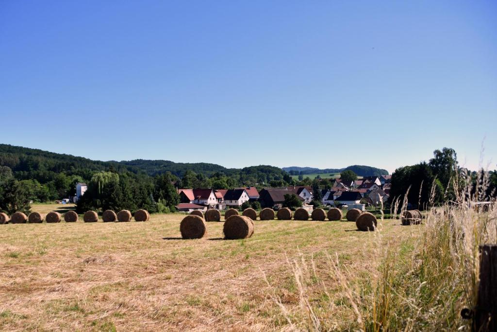 Příroda nedaleko apartmánu