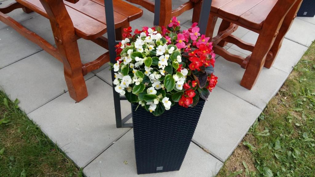 Zahrada ubytování Apartmán u Paťka Zuberec