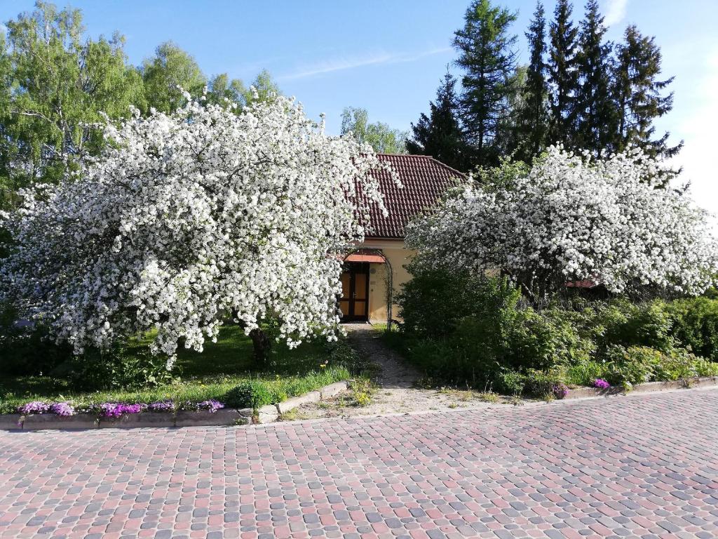 Zahrada ubytování Ruunawere Hotel