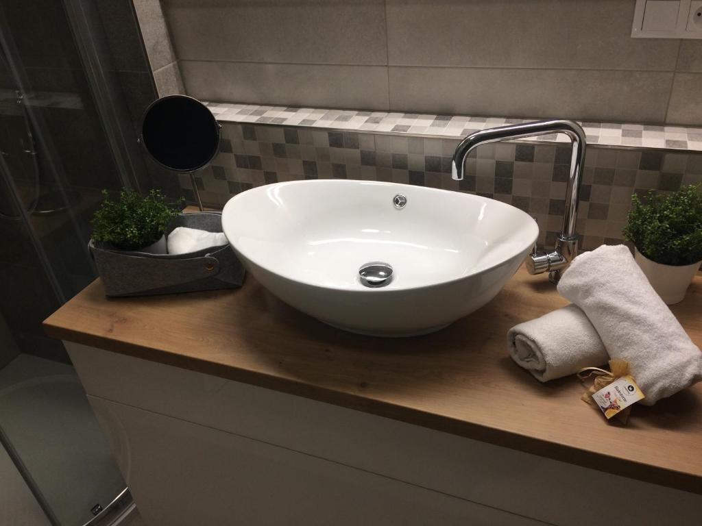 Koupelna v ubytování Apartmán Dara