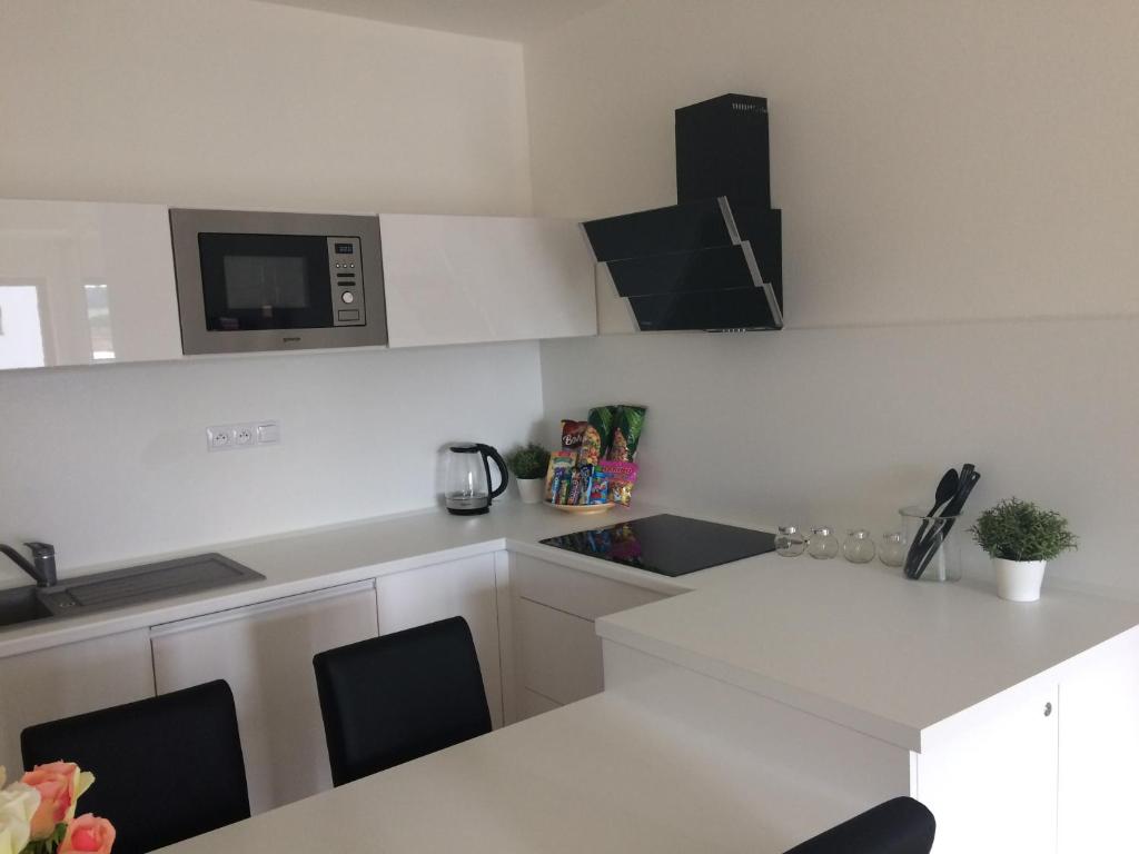 Kuchyň nebo kuchyňský kout v ubytování Apartmán Dara