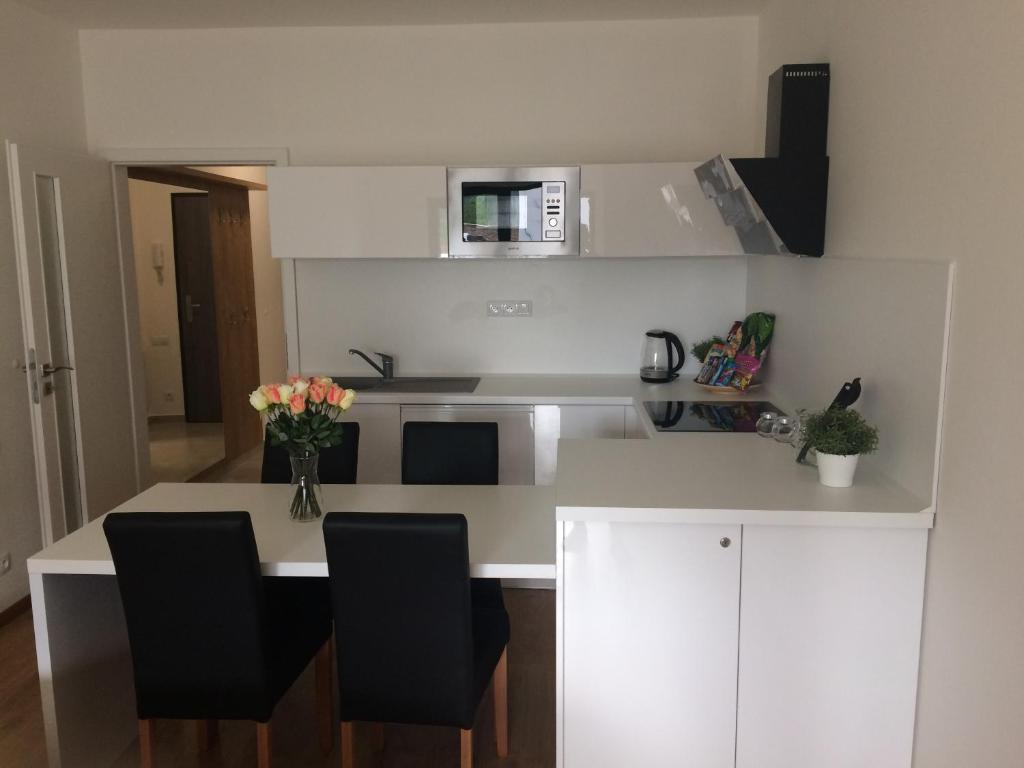 Kuchyň nebo kuchyňský kout v ubytování Apartmán Dara