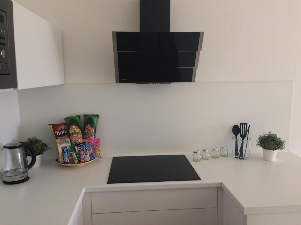 Kuchyň nebo kuchyňský kout v ubytování Apartmán Dara