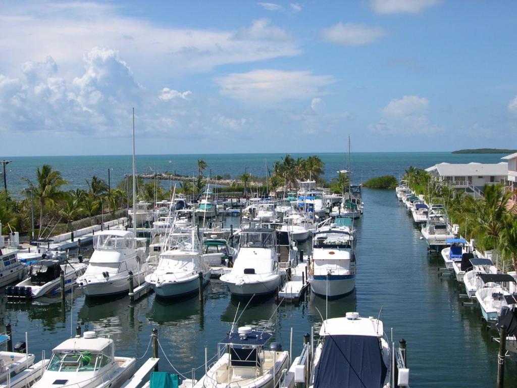 a bunch of boats docked in a harbor at FULL TIME LIC MGR - MODERN OCEANFRONT CONDO! BEAUTIFUL OCEAN VIEWS! BEACH RESORT! 2 KING BEDs! in Key Largo
