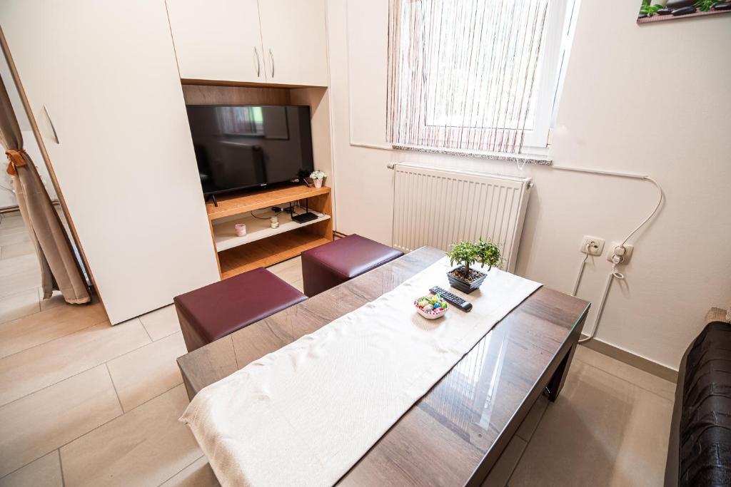 Apartment Želimlje - One-Bedroom Apartment