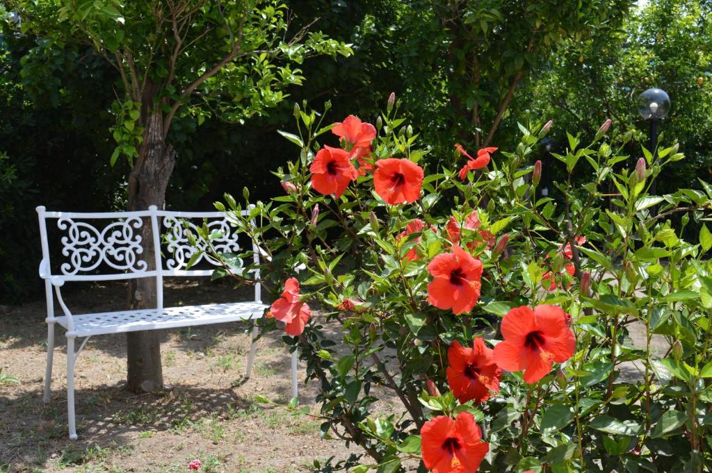 Zahrada ubytování Baia della Serenità