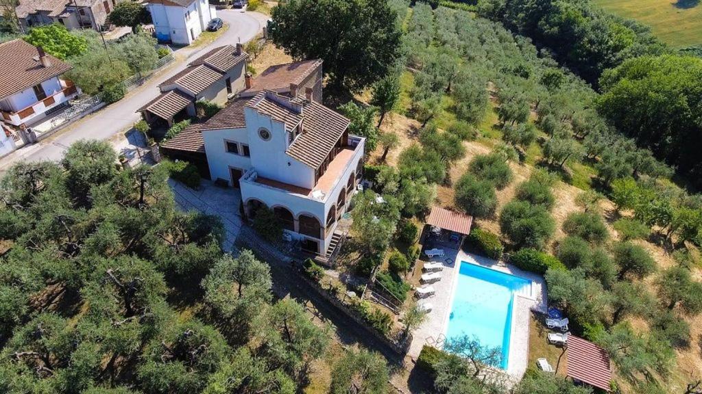 una vista aérea de una casa con piscina en Il Poggio degli Ulivi, en Collicello