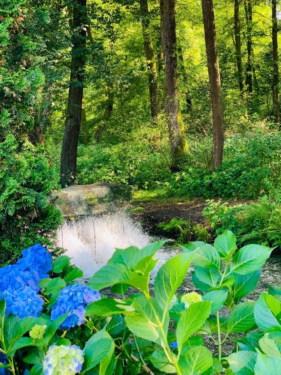 Příroda nedaleko penzionu – hostince
