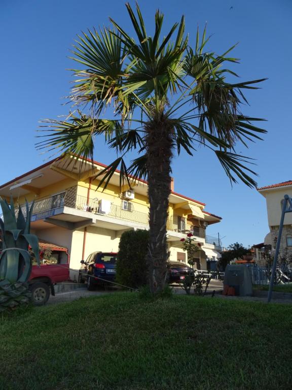 uma palmeira em frente a um edifício em Gkoloi Studios & Apartments em Kalivia Poligirou