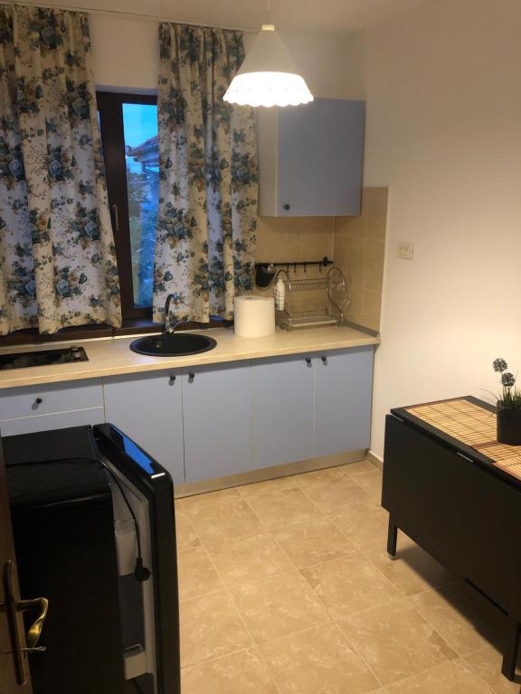 Kuchyň nebo kuchyňský kout v ubytování Casa Bozianu