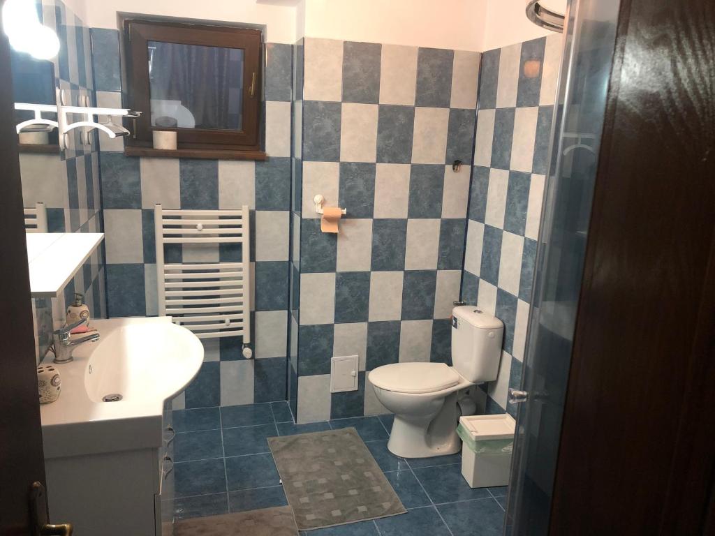 Koupelna v ubytování Casa Bozianu